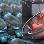 bébés conçus en laboratoire